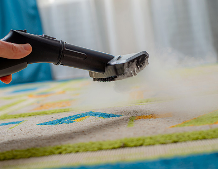 where do carpet beetles come from